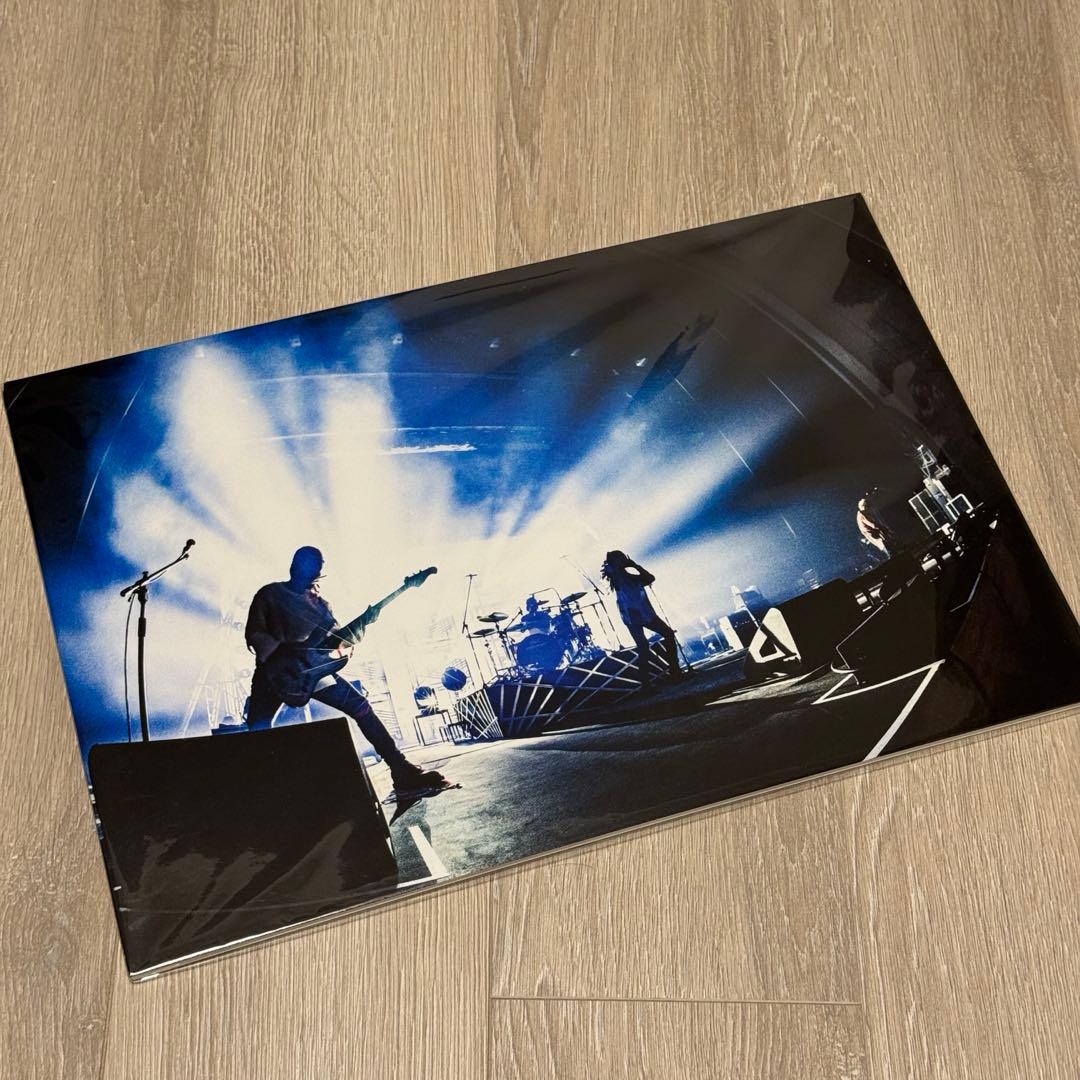 SUPER BEAVER パネル