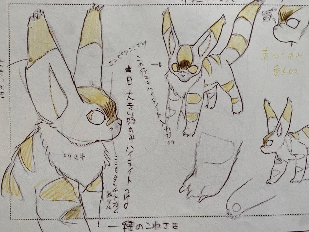 【激レア】【当時物】風の谷のナウシカ　設定資料集　アニメージュ　ジブリ　宮崎駿