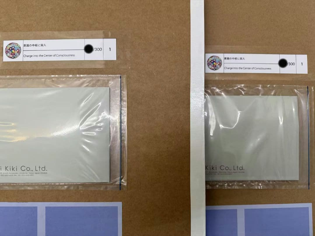 意識の中枢に突入 ポスター ED300