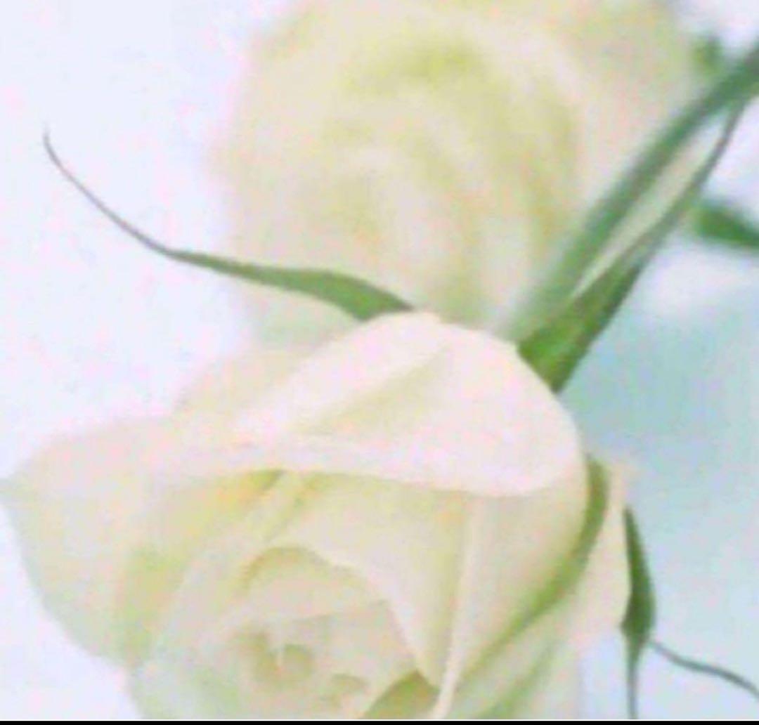 ☆みとるず☆ ★