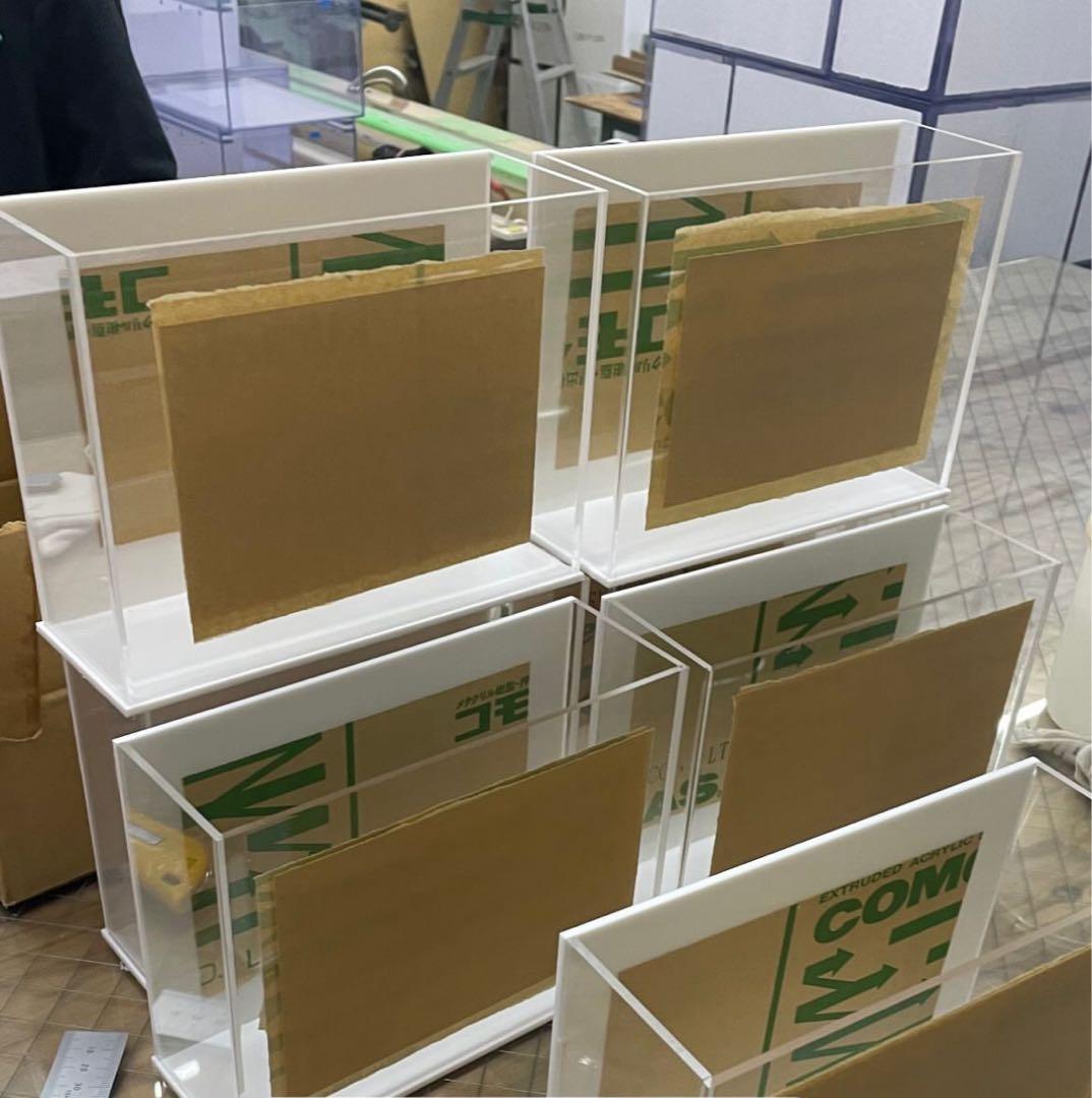 超お得6個セット！！【安永めだか】オリジナル横見ケース