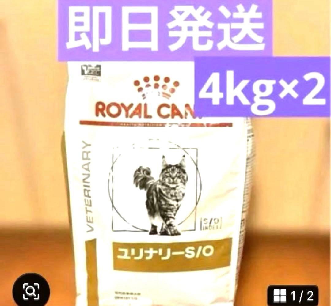 ロイヤルカナン ユリナリー-S/O 4kg×2