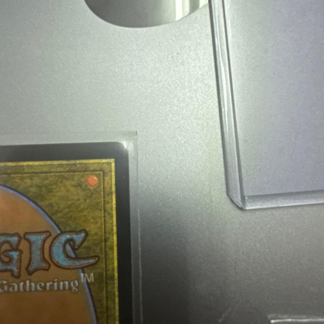 MTG 魔道の力を持つ少女、ティナ 日本語 サージfoil