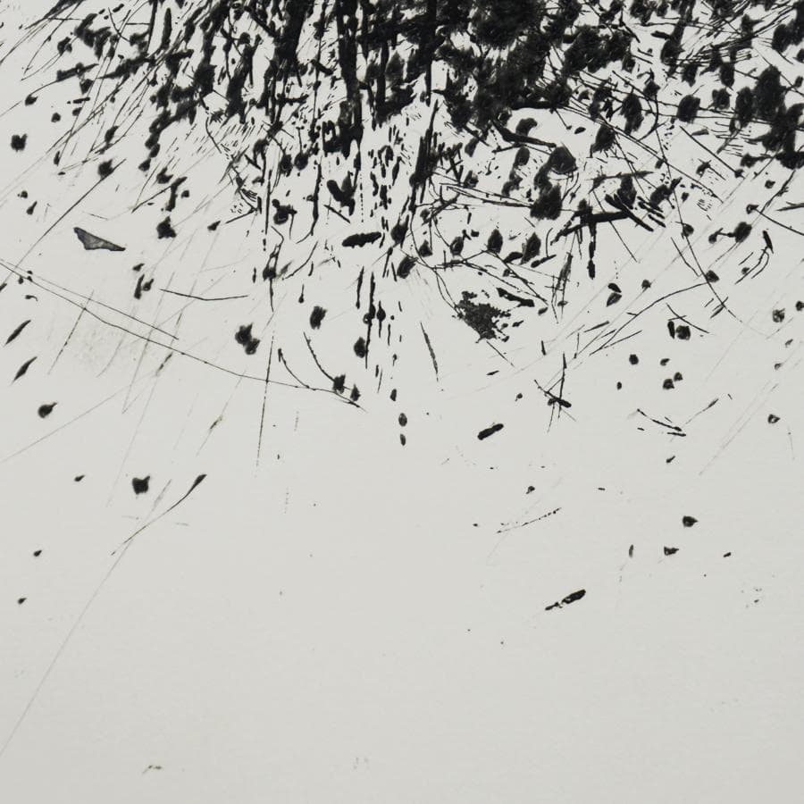 白木ゆり『ripeness-15』5/30 エッチング 版画 抽象画 絵画