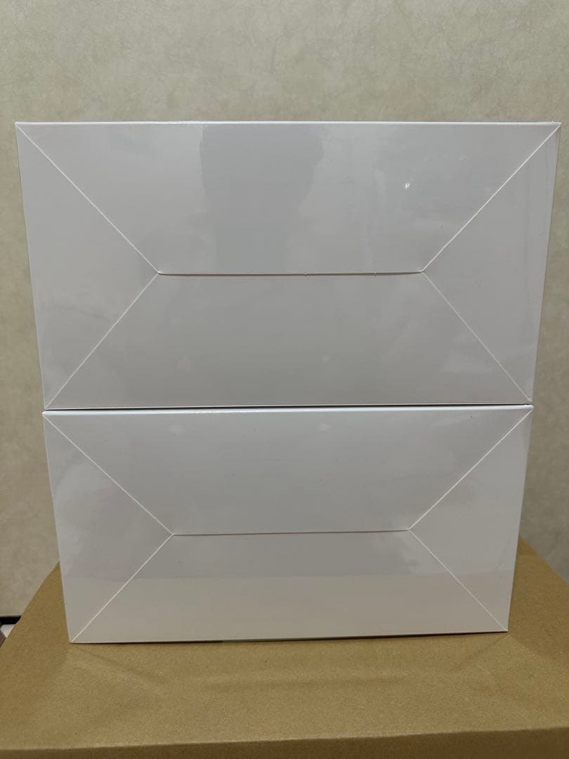 Labubu Big into Energy ぬいぐるみ シリーズ　正規品