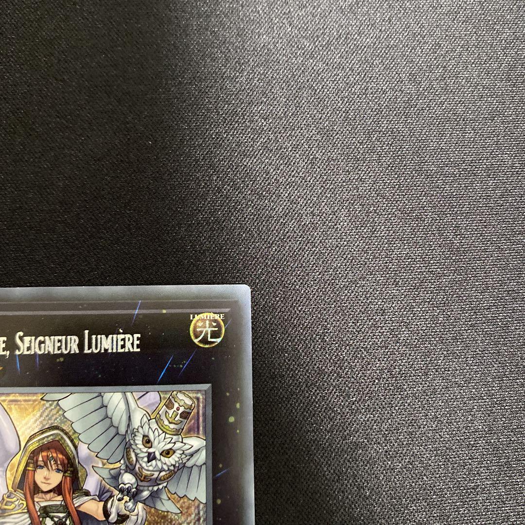 エラーカード ライトロード・セイント・ミネルバ  BLLR-FR044フランス語