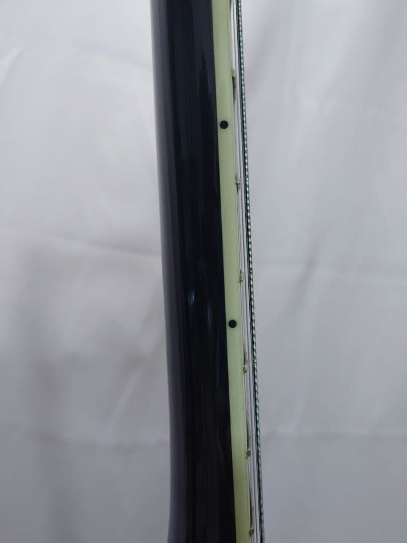 EDWARDS E-CL-S-VIII LUNA SEA SUGIZOモデル