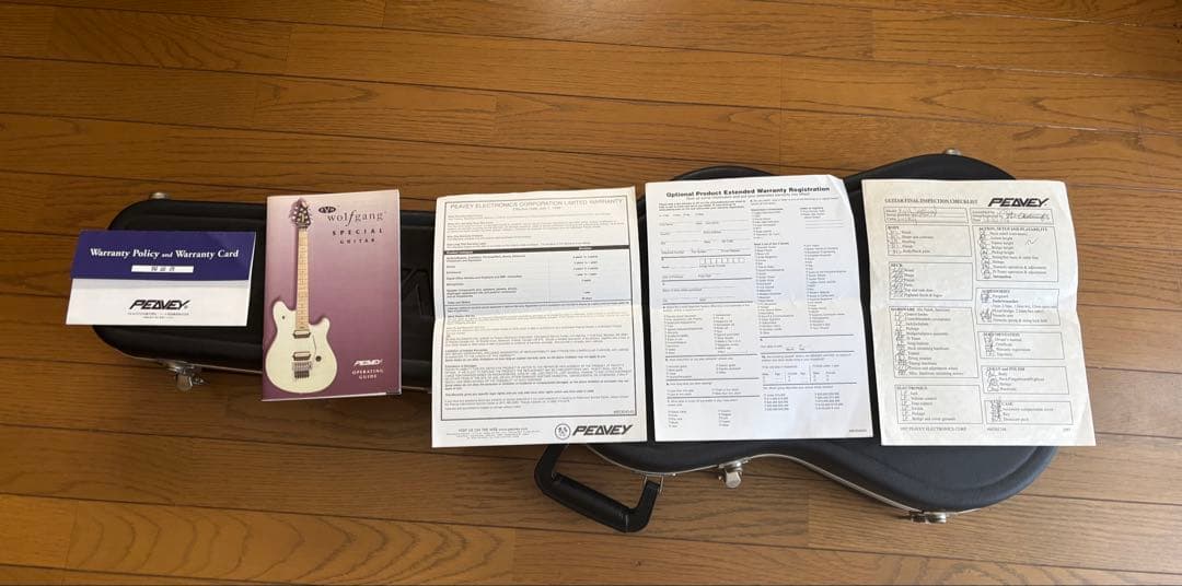 PeaveyWolfgang Special 、ハードケース付き