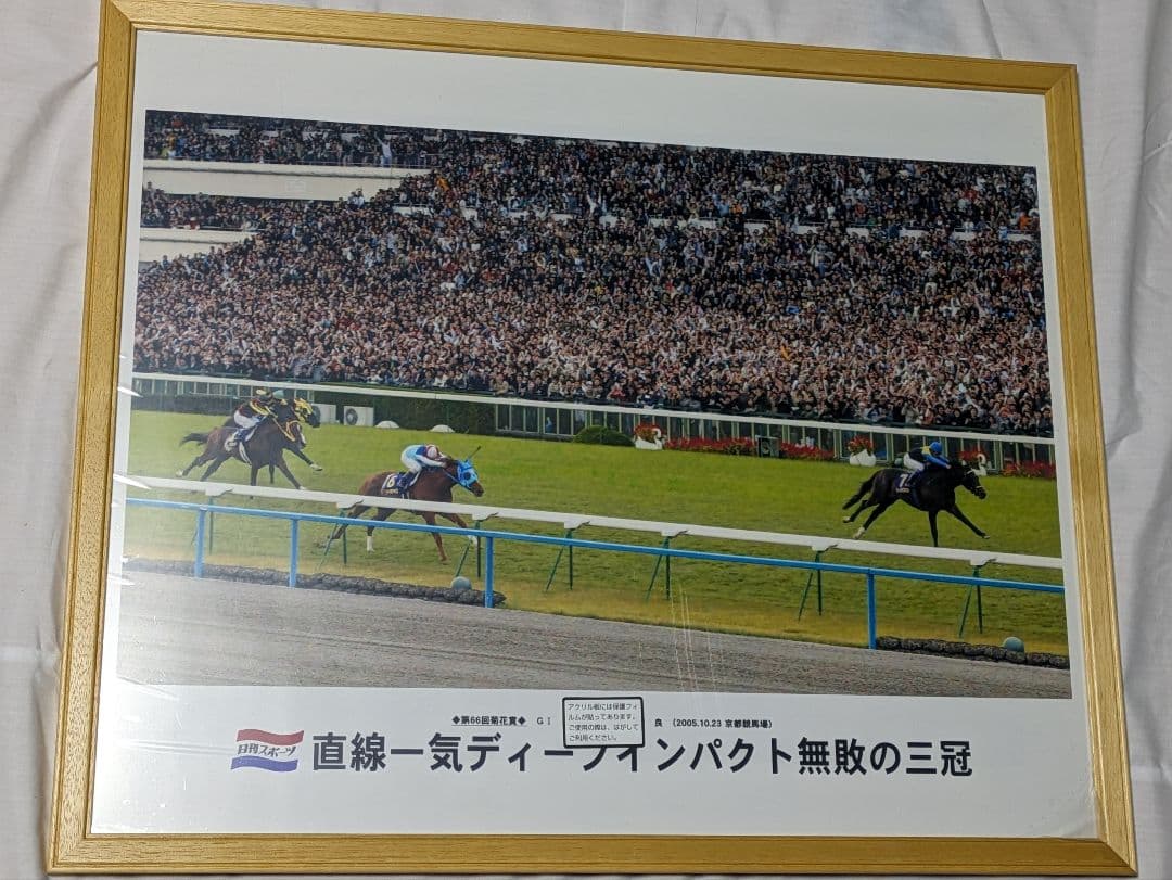 ディープインパクト　武豊　菊花賞　競走馬　写真パネル　額縁入り　スポーツ新聞付き