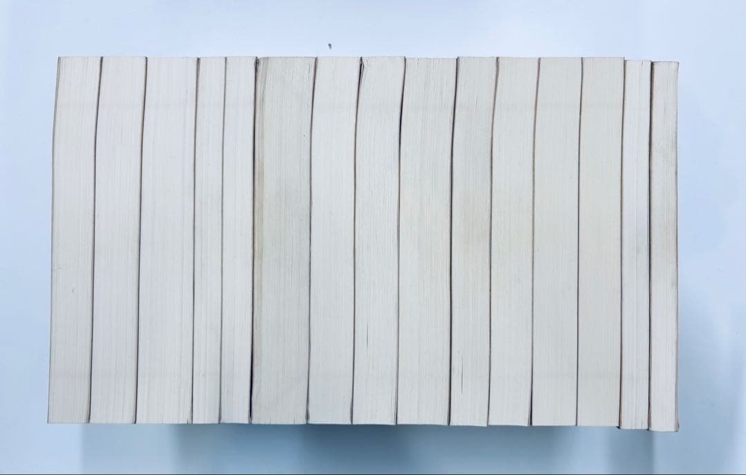 DTV「フリードリヒ・ニーチェ全集」全15冊揃セットドイツ語版/思想/古典文献/