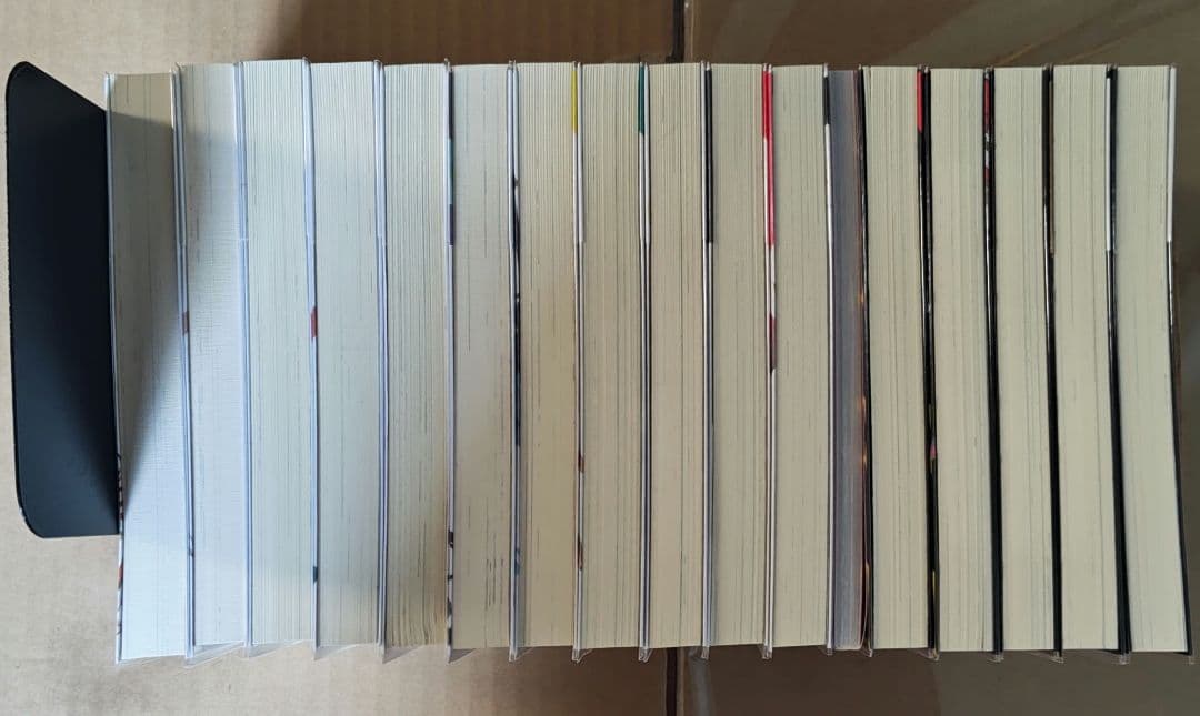 初版帯付　転生した大聖女は、聖女であることをひた隠す　小説　特典多数