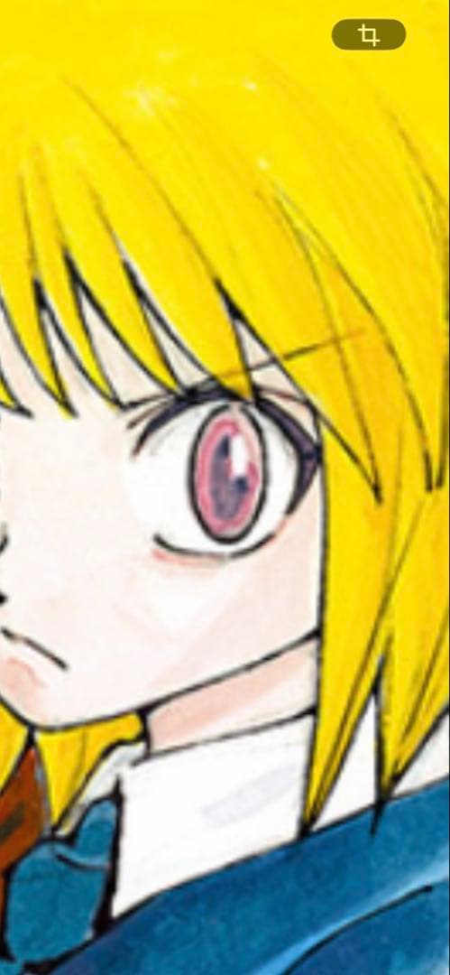 専用出品　クラピカ