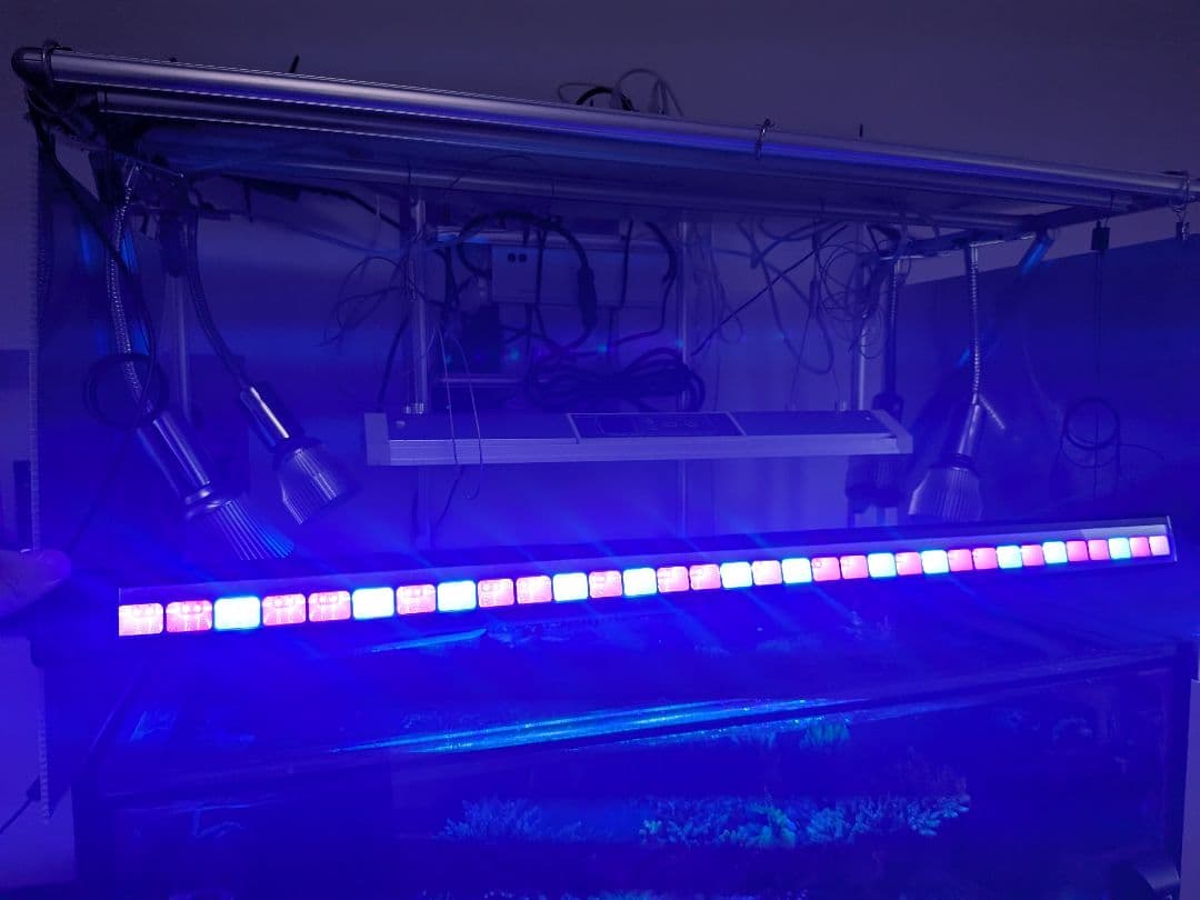 ZOOX アクティニックシャイナー90