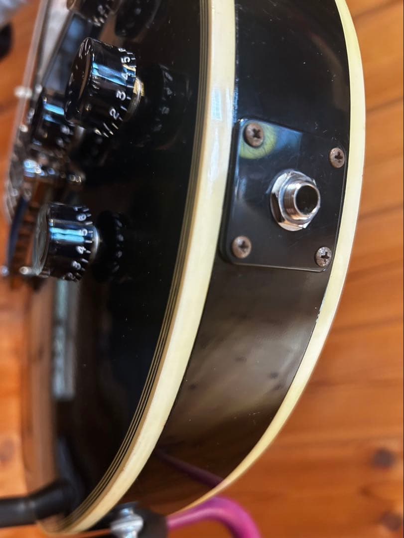 Greco EG-600レスポール ピーターフランプトンレスポールカスタムモデル