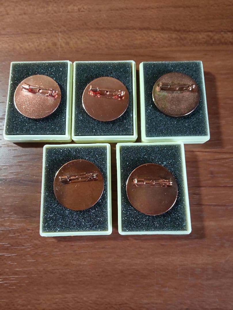 第2回ポケモンリーグ公式大会 勝利のバッチ【非売品】