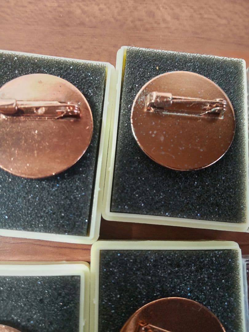 第2回ポケモンリーグ公式大会 勝利のバッチ【非売品】