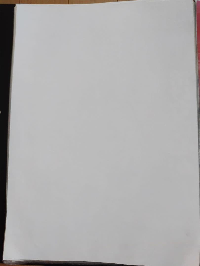 非売品 エヴァンゲリオン ポスター2枚セット