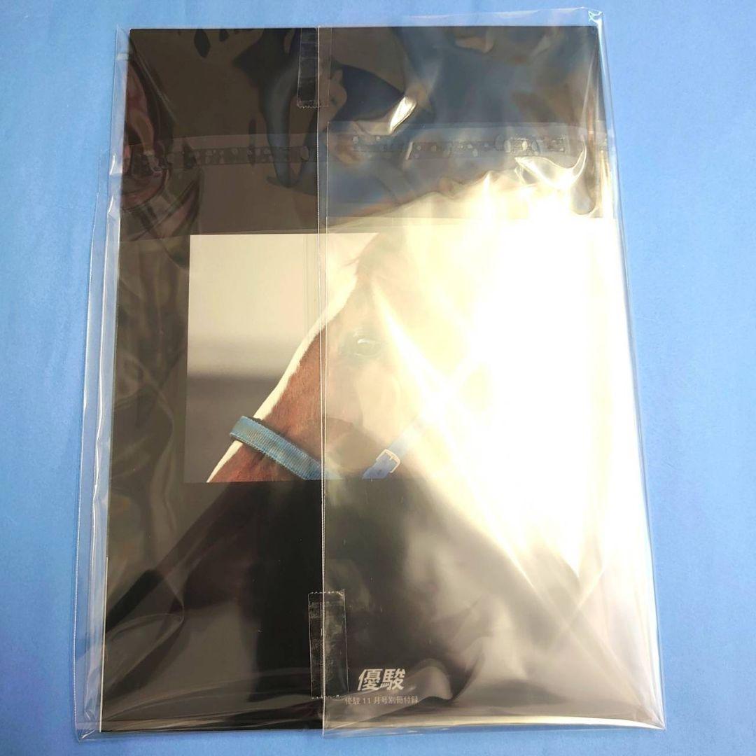 【稀少】ダイワスカーレット ぬいぐるみ ウマ娘アイドルホース競馬 馬AVANTI