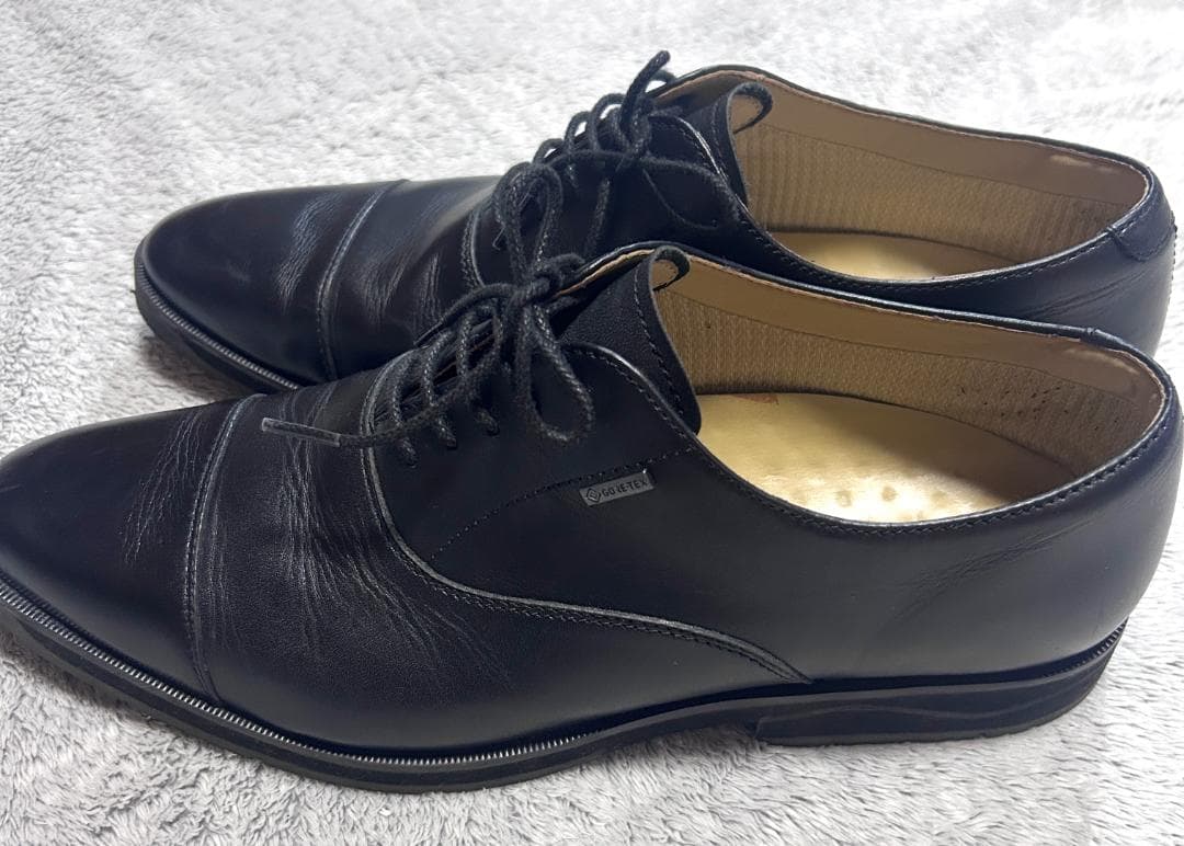 24時間以内/匿名配送 ミズノ ゴアテックス ウォーキング M-BIZ 28cm