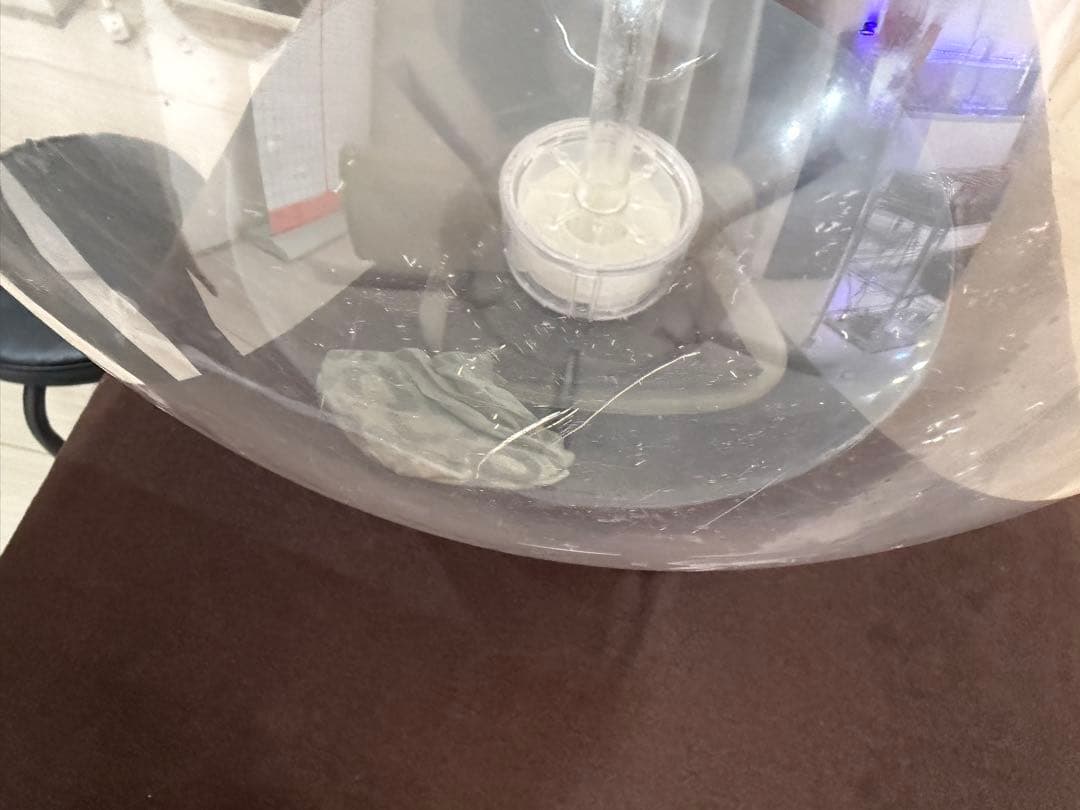 本日限定値下げ‼️biOrb 球形水槽 LEDライト付き 中古