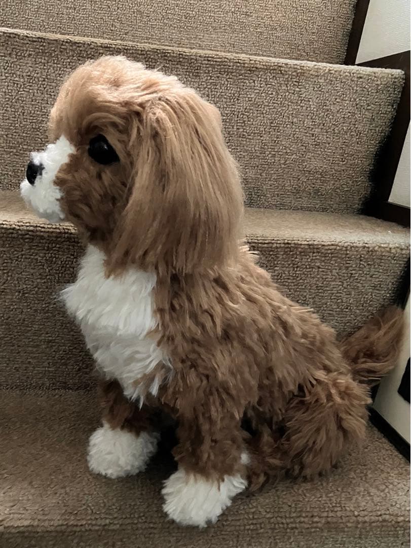 犬ぬいぐるみ　ミックス犬　ご確認用