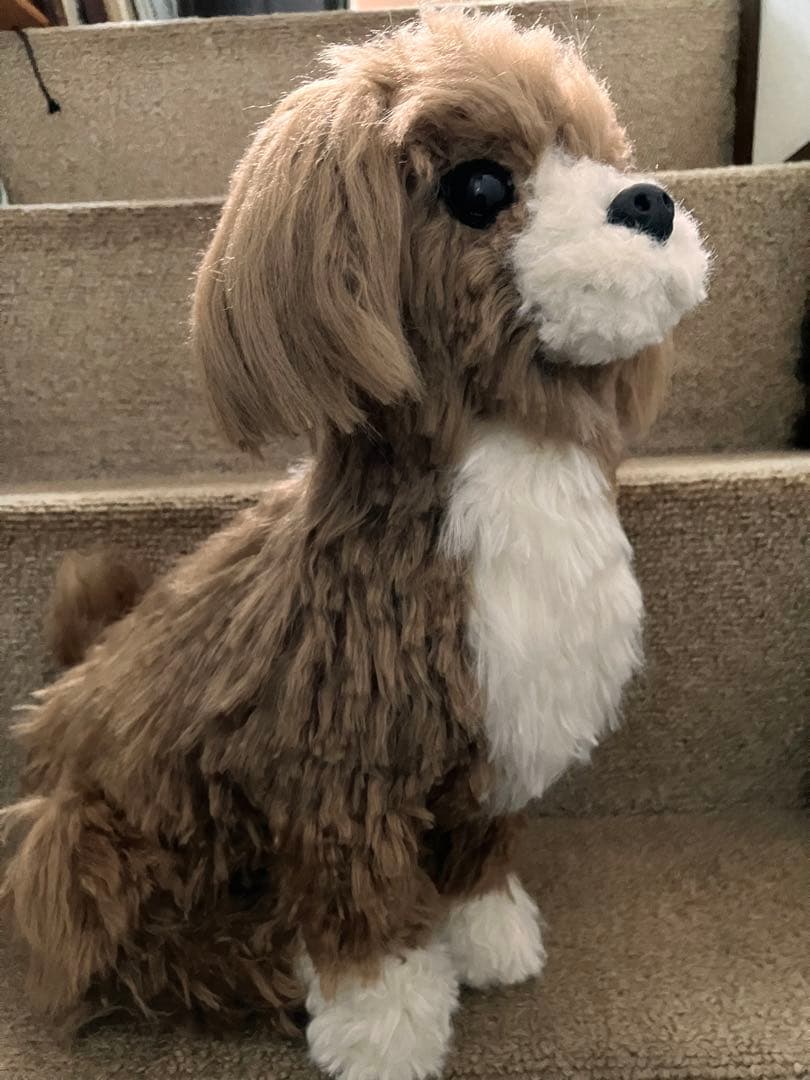 犬ぬいぐるみ　ミックス犬　ご確認用