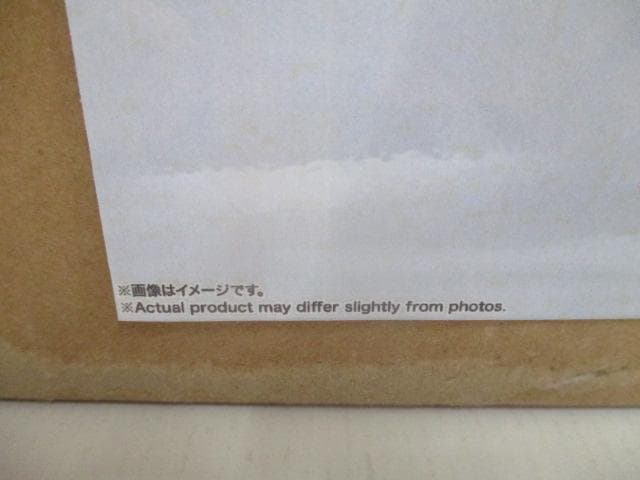 【未開封】デスティニーガンダム　L　BUILD　FESTIVAL