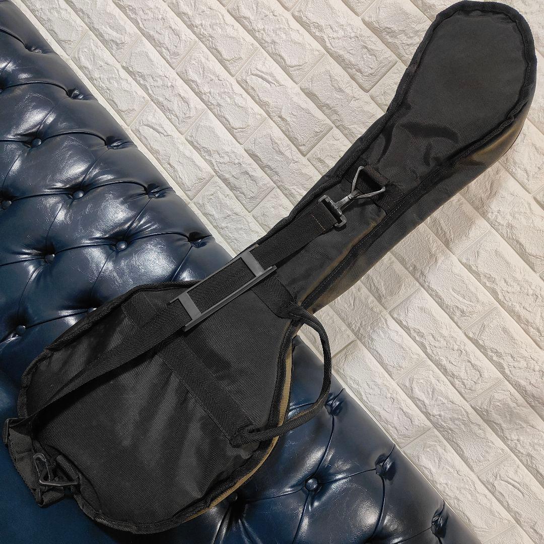 Fernandes PIE-ZOエレキベース サンバースト ZO-3