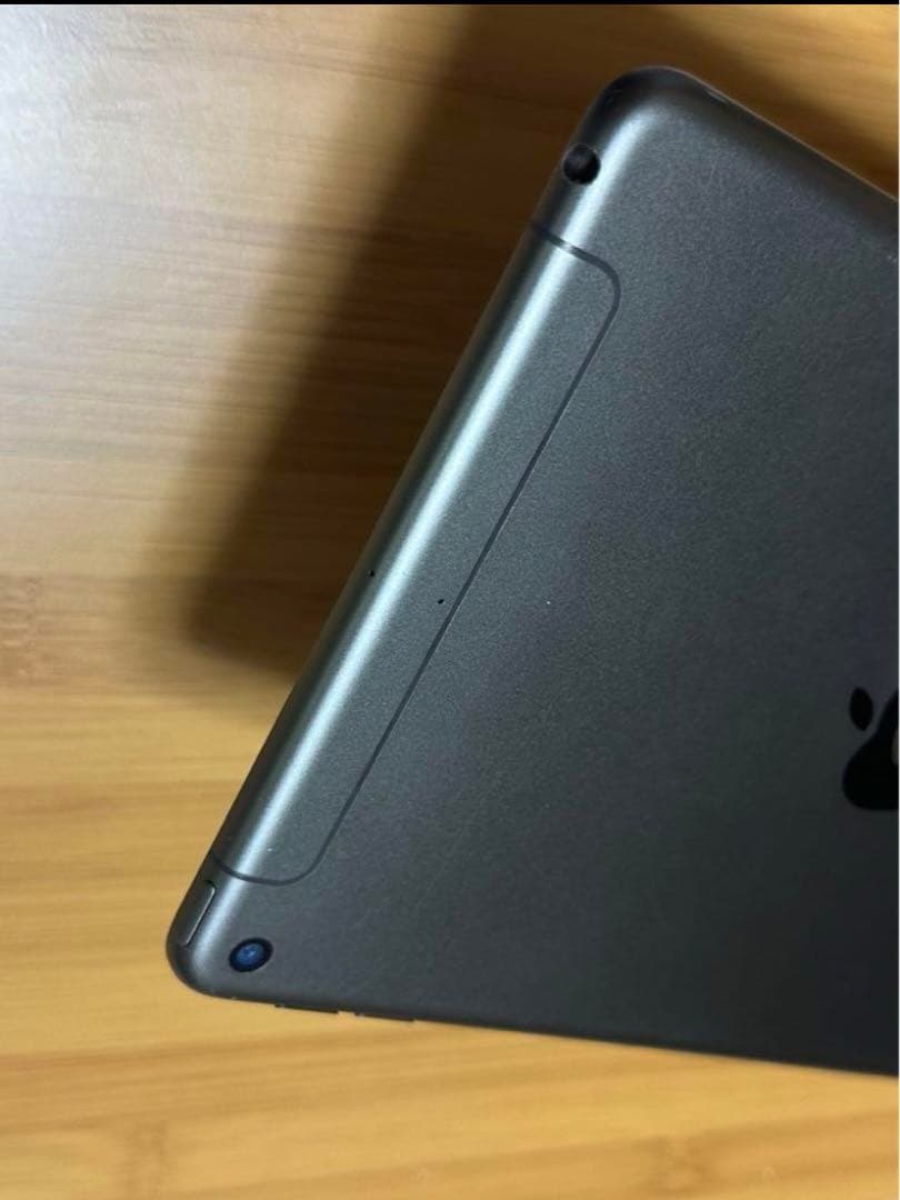 iPad本体 iPad mini5 256GB Cellular