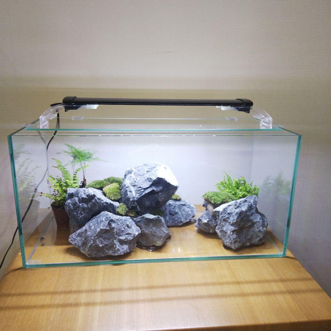 【オーダーメイド】滝のあるアクアテラリウム　苔テラリウム　アクアリウム