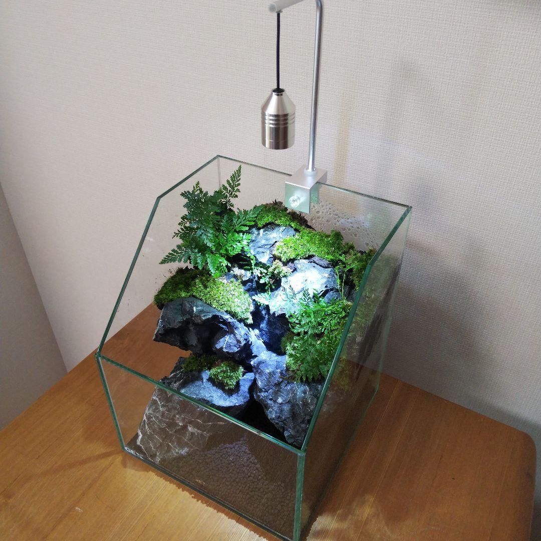 【オーダーメイド】滝のあるアクアテラリウム　苔テラリウム　アクアリウム
