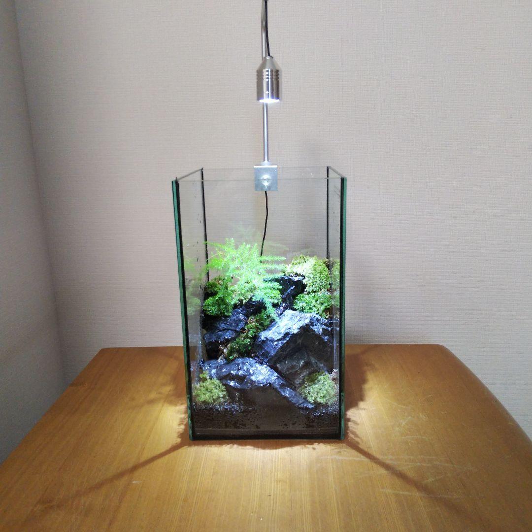 【オーダーメイド】滝のあるアクアテラリウム　苔テラリウム　アクアリウム
