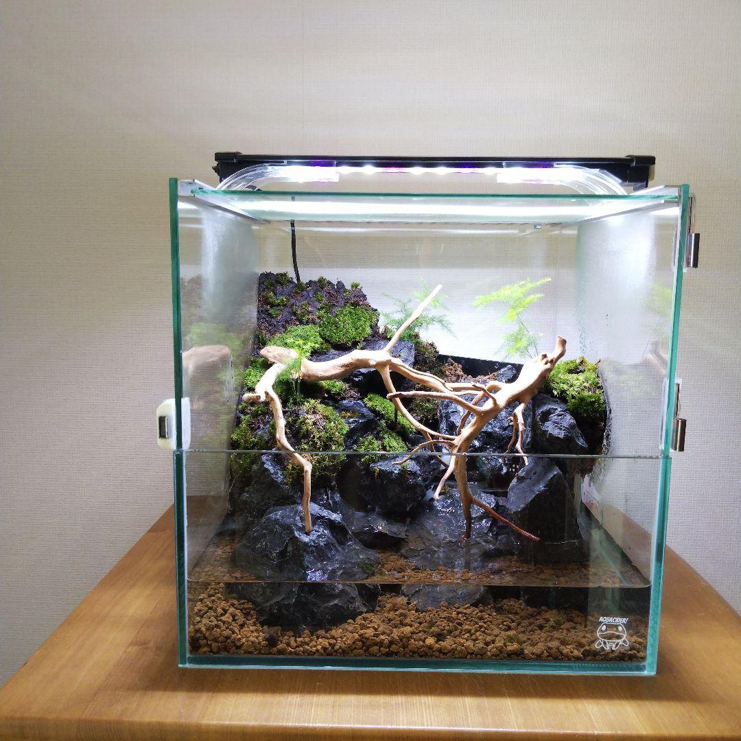 【オーダーメイド】滝のあるアクアテラリウム　苔テラリウム　アクアリウム