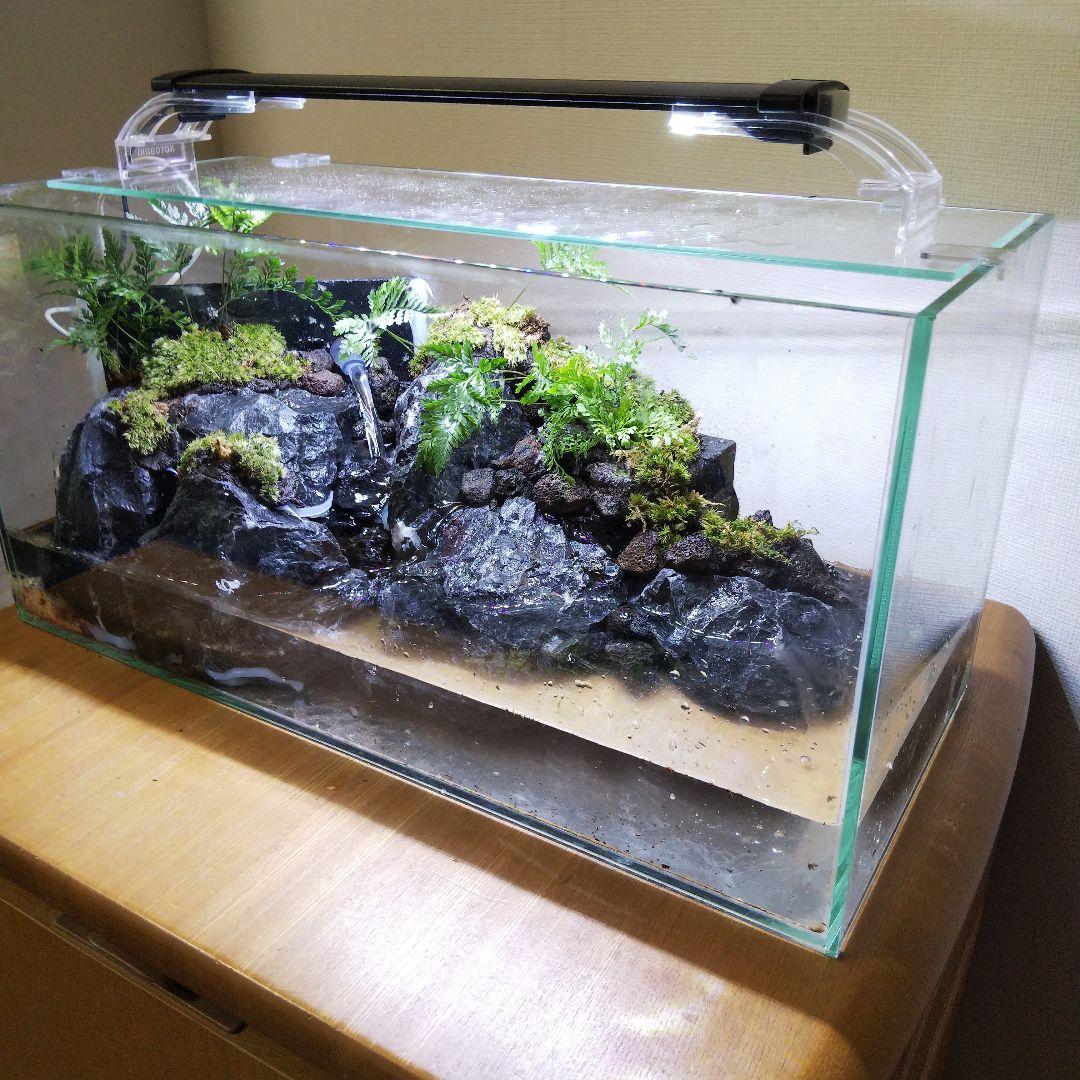 【オーダーメイド】滝のあるアクアテラリウム　苔テラリウム　アクアリウム