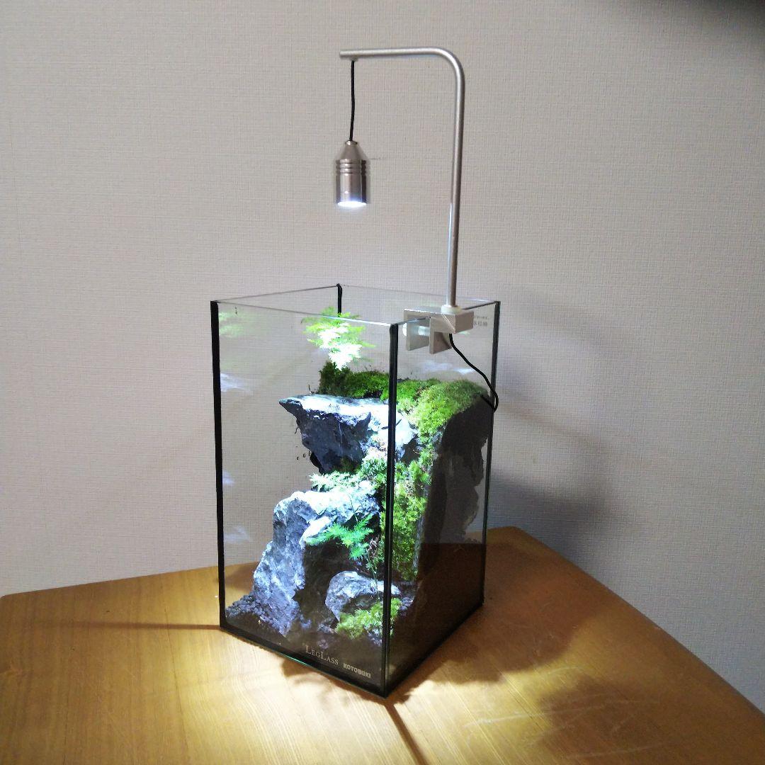 【オーダーメイド】滝のあるアクアテラリウム　苔テラリウム　アクアリウム