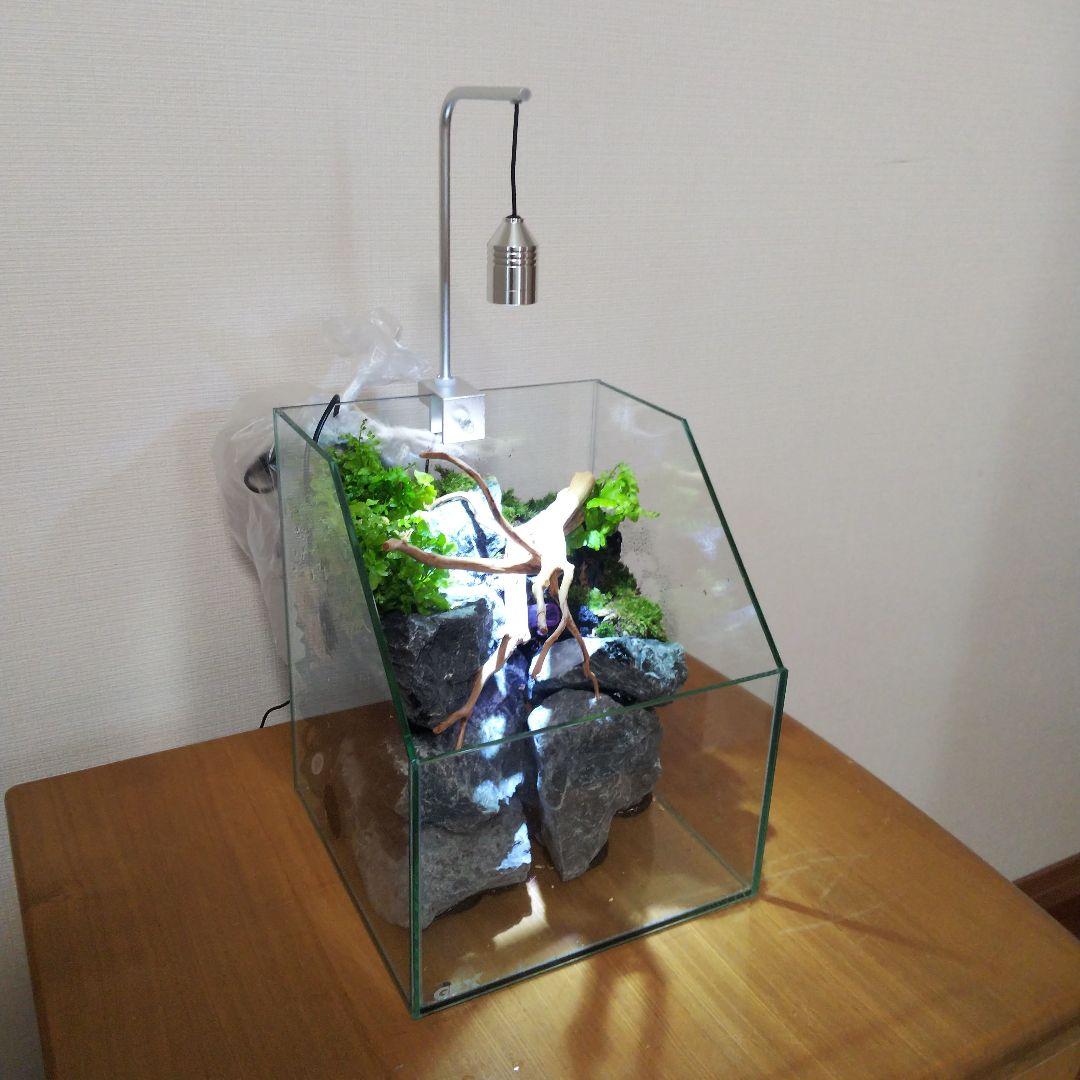 【オーダーメイド】滝のあるアクアテラリウム　苔テラリウム　アクアリウム
