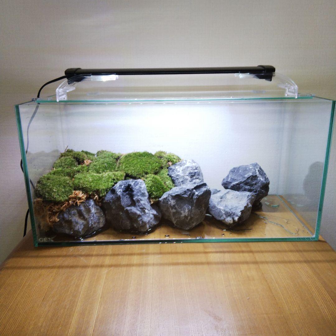 【オーダーメイド】滝のあるアクアテラリウム　苔テラリウム　アクアリウム