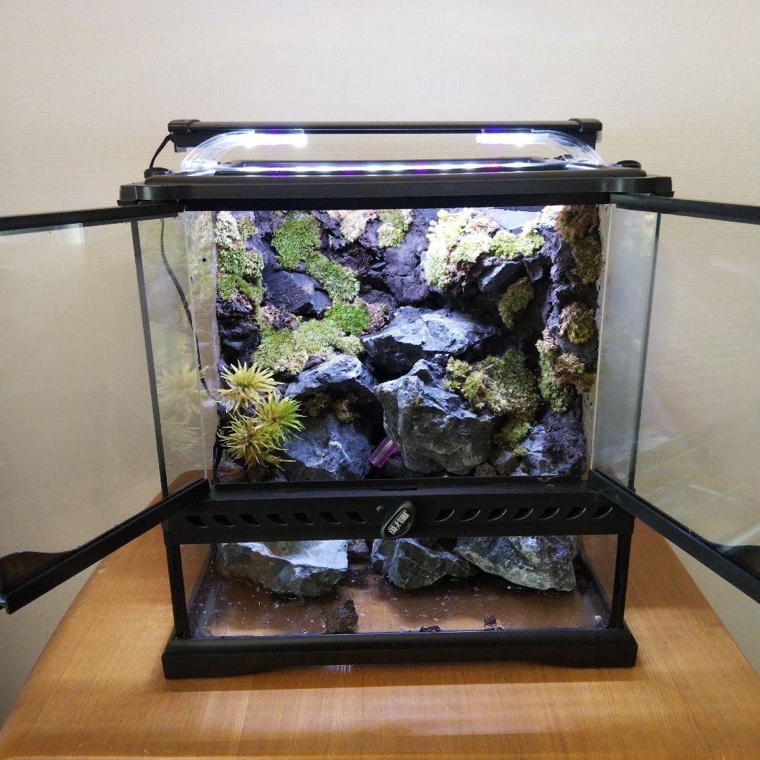 【オーダーメイド】滝のあるアクアテラリウム　苔テラリウム　アクアリウム