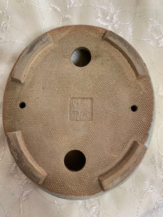 虹泉　盆栽鉢　楕円　浅め