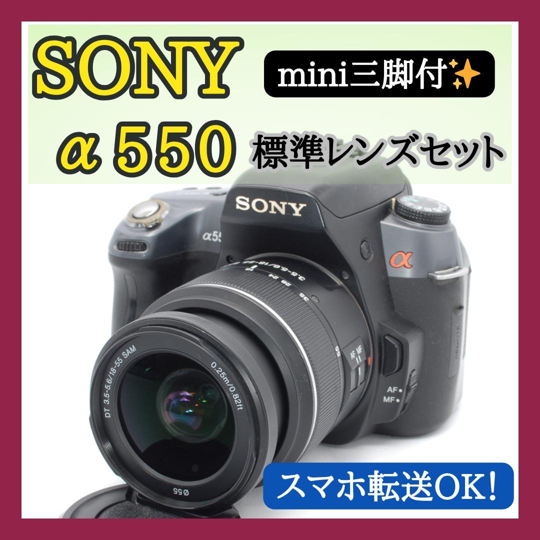 ✨スナップに最適✨SONY α550✨チルト式液晶✨初心者向け✨操作簡単✨一眼✨