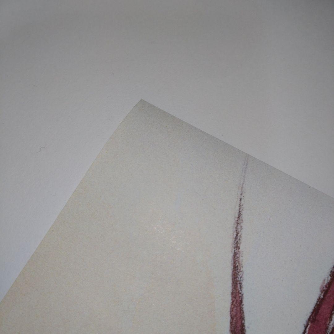 覇王大系リューナイト　/　アデュー・レジェンド　非売品ポスター　ラジオドラマ