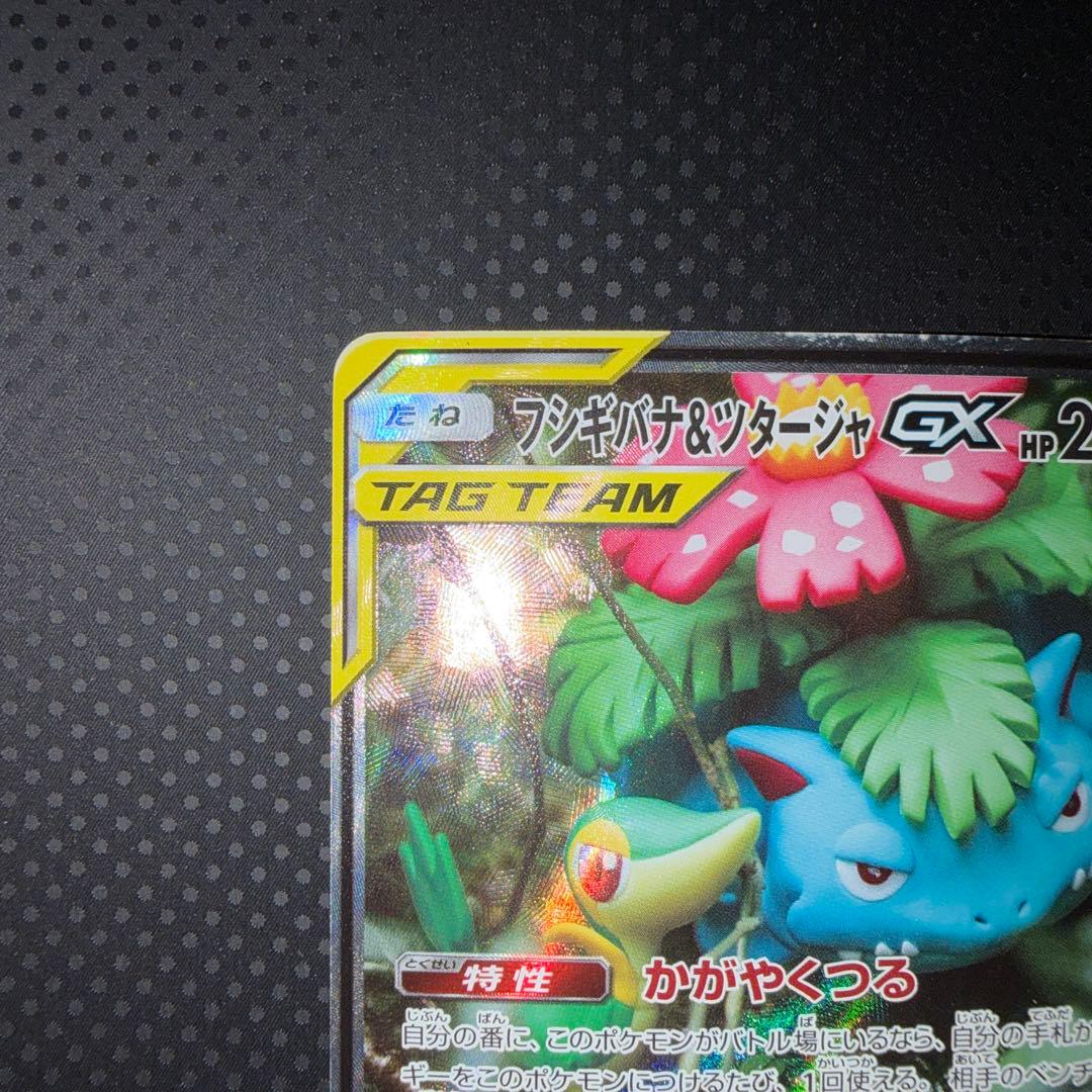 美品 フシギバナ＆ツタージャGX かがやくつる SR SA