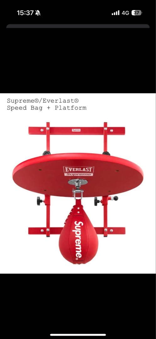 A*G様 Supreme x Everlast Speed Bag + Plat