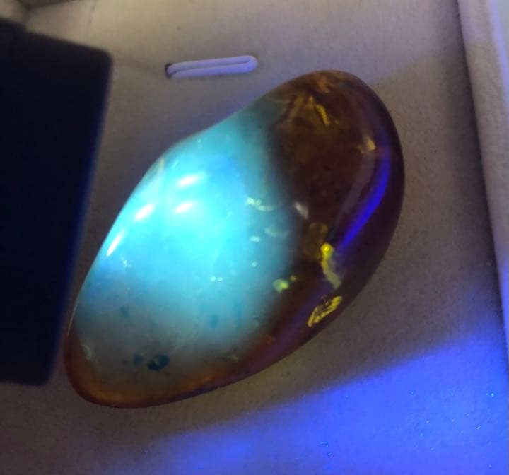 虫本琥珀 虫入りアンバー 即納 琥珀 ユニーク 天然石 宝石 化石