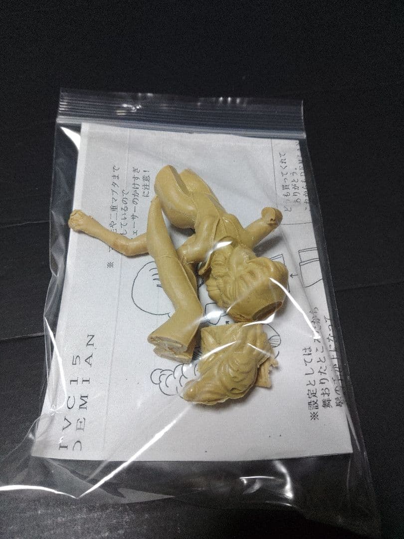 ガレージキット　ダンバイ　チャムファウ　ガレキ　プラモデル