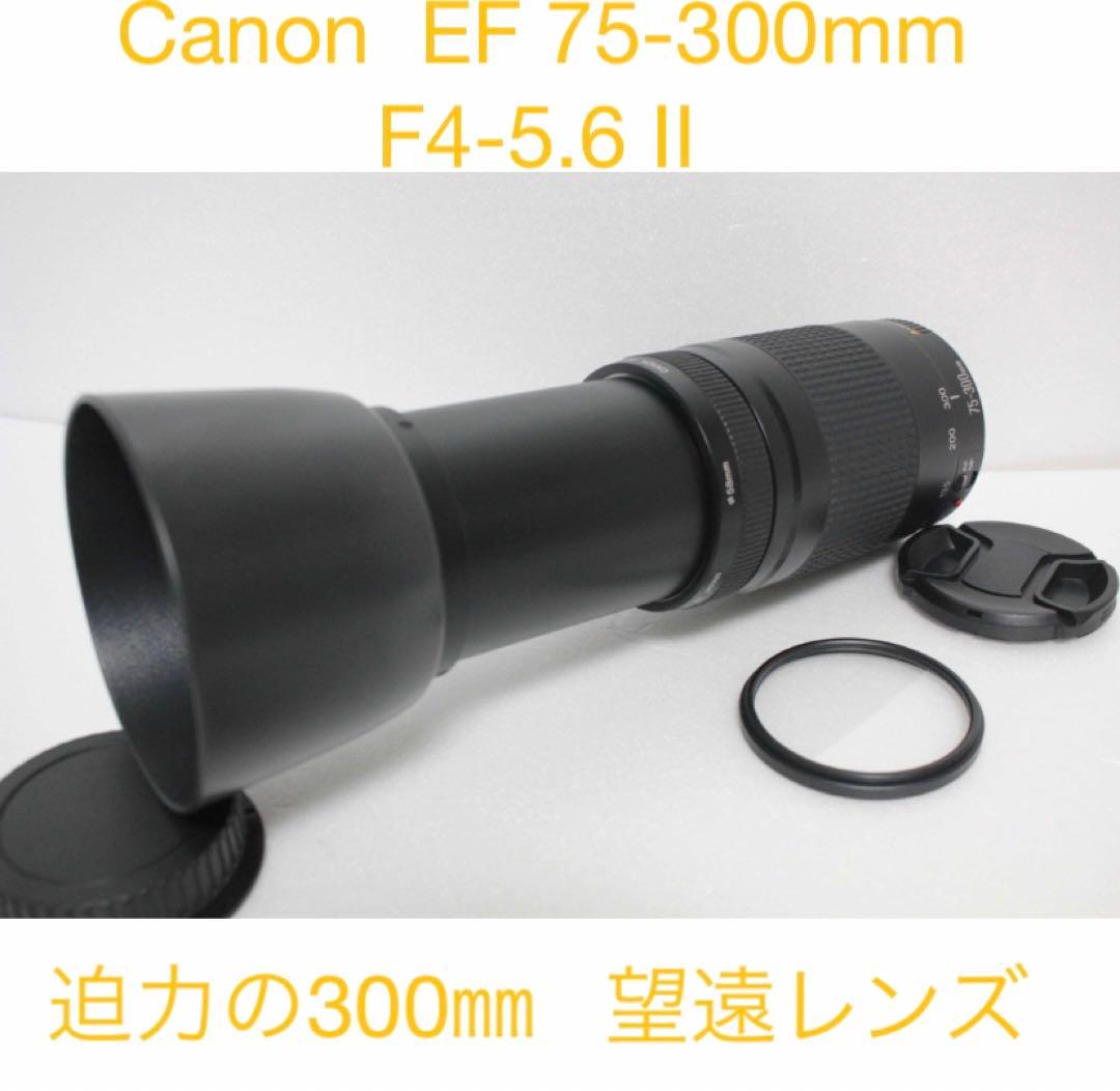 キャノン望遠レンズ/迫力の300㎜/Canon EF75-300㎜　II