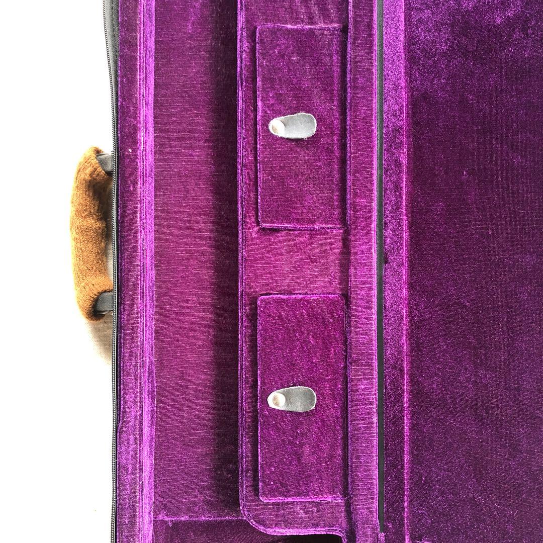 二胡　ケース付き