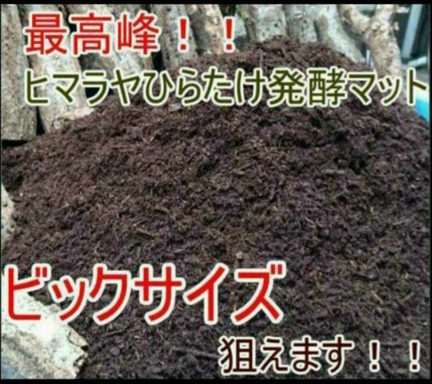 80リットル☆ヒマラヤひらたけ発酵カブトムシマット　幼虫が巨大化します！栄養抜群