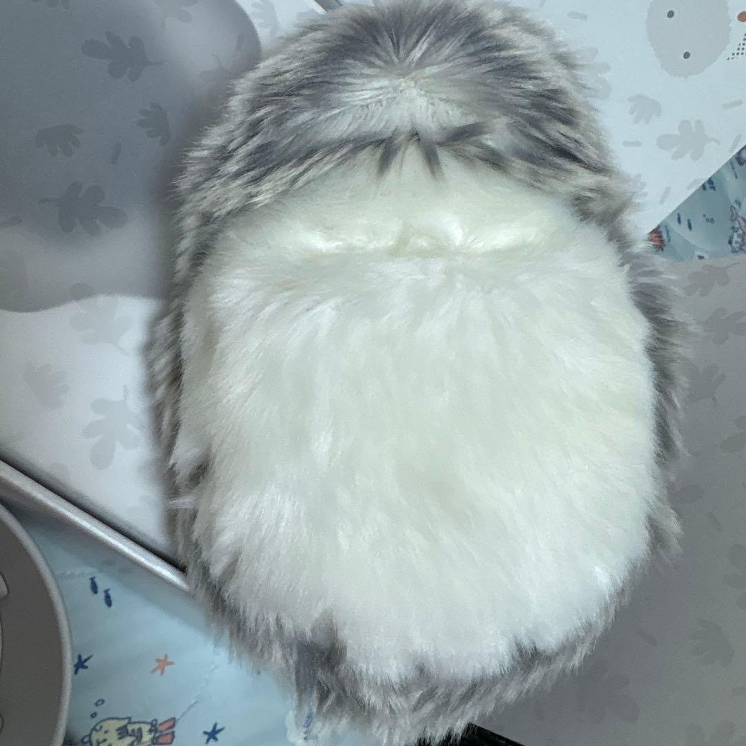 中古モフリン　シルバー　キャリーケース付き