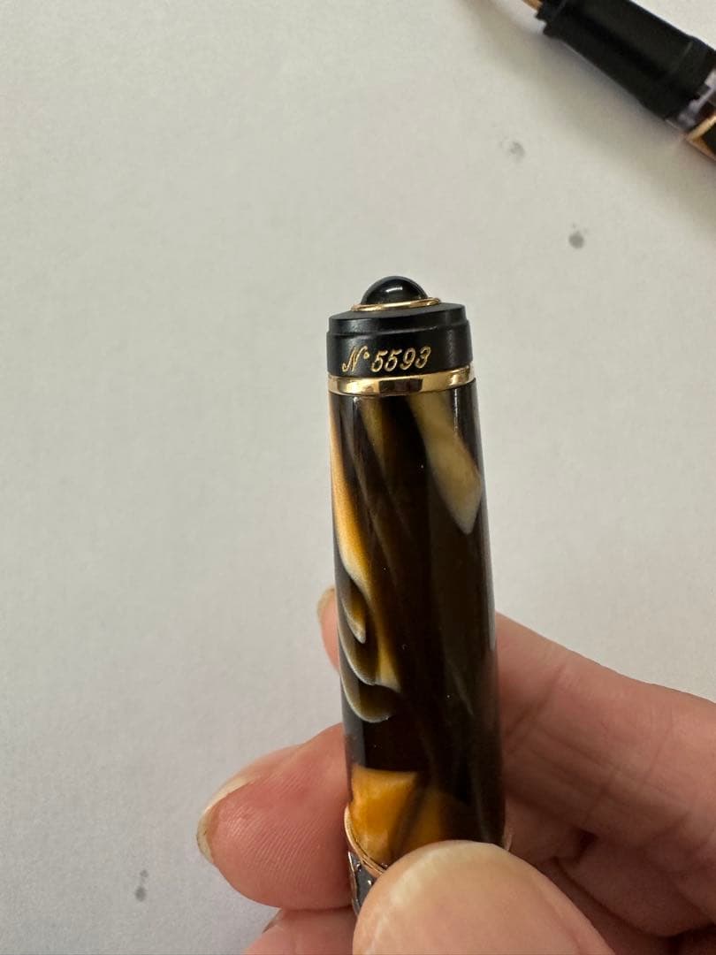 アウロラ　万年筆　大陸シリーズ　限定　アフリカ